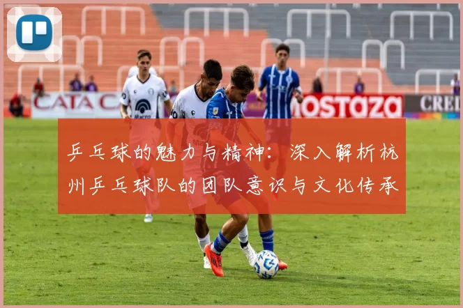 乒乓球的魅力与精神：深入解析杭州乒乓球队的团队意识与文化传承