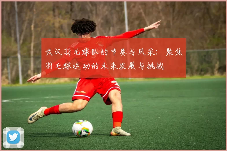 武汉羽毛球队的节奏与风采：聚焦羽毛球运动的未来发展与挑战