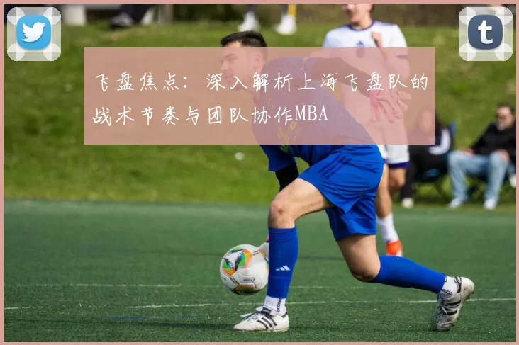 飞盘焦点：深入解析上海飞盘队的战术节奏与团队协作MBA