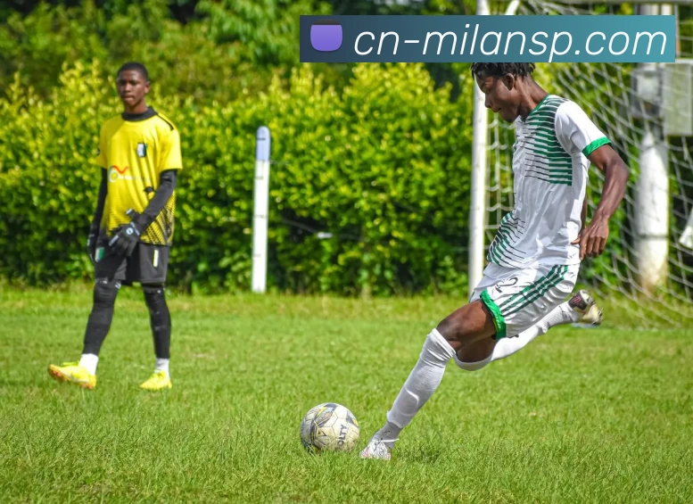 米兰平台APP 封面图